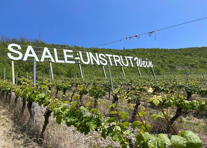 Lägenhet Koenitz, Ilschen Naumburg (Saale)